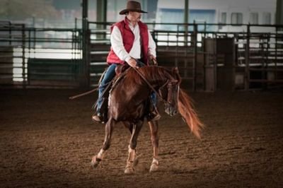Managing Member - WIND RIVER COMPANY LLC, Law Enforcement, Drug Enforcement, Private Security experience spanning 46 years.  PRO Reined Cow Horse Trainer.