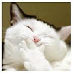 Hi. I tweet world's funniest news in this moment! If you like them, please visit also my website. Thank you!