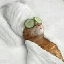 Hi. I tweet world's funniest news in this moment! If you like them, please visit also my website. Thank you!