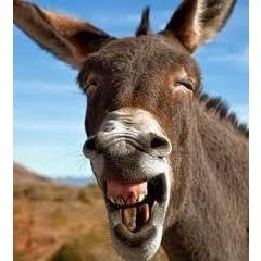 fuwymazuhon's profile picture. Hi. I tweet world's funniest news in this moment! If you like them, please visit also my website. Thank you!