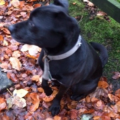 benjibounce's profile picture. 