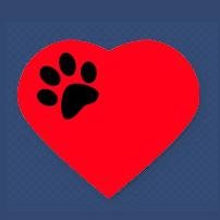 Welcome to Yelm Veterinary Hospital!
