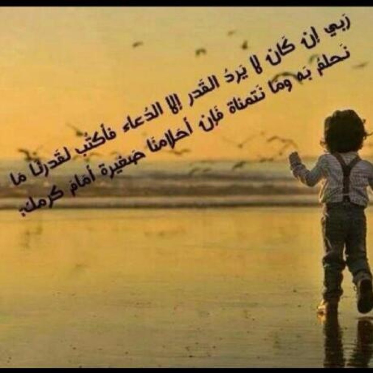 أُغرد بجزء صادق و جزء غامض و جزء من ذوقي و جزء يستحيل أن يفهمه غيري ...!! لا تقرأوني كثيراً كي لا تصابوا بالوجع!!