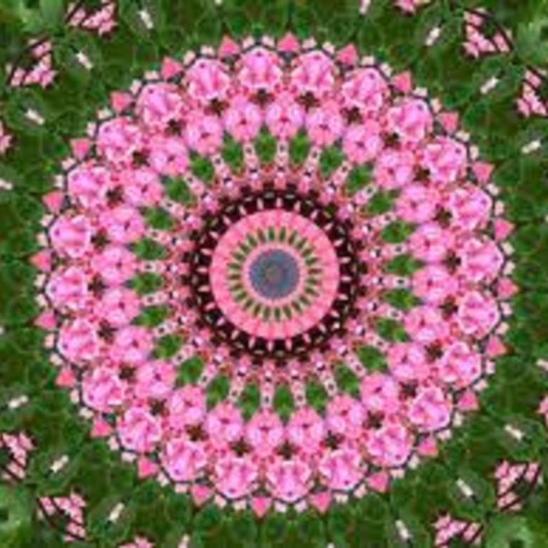 bszul54's profile picture. Write grant proposal. Edit, edit, edit, edit. . . . Walk dogs. Eat chocolate. Repeat. #grant.