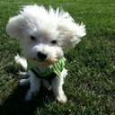 Marcel Washington - @cmore356 - Twitter