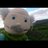 MisePato's profile image