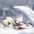 Wings's Twitter (X) avatar