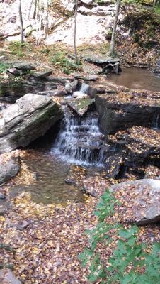 Follow us on all of our adventures near and far!