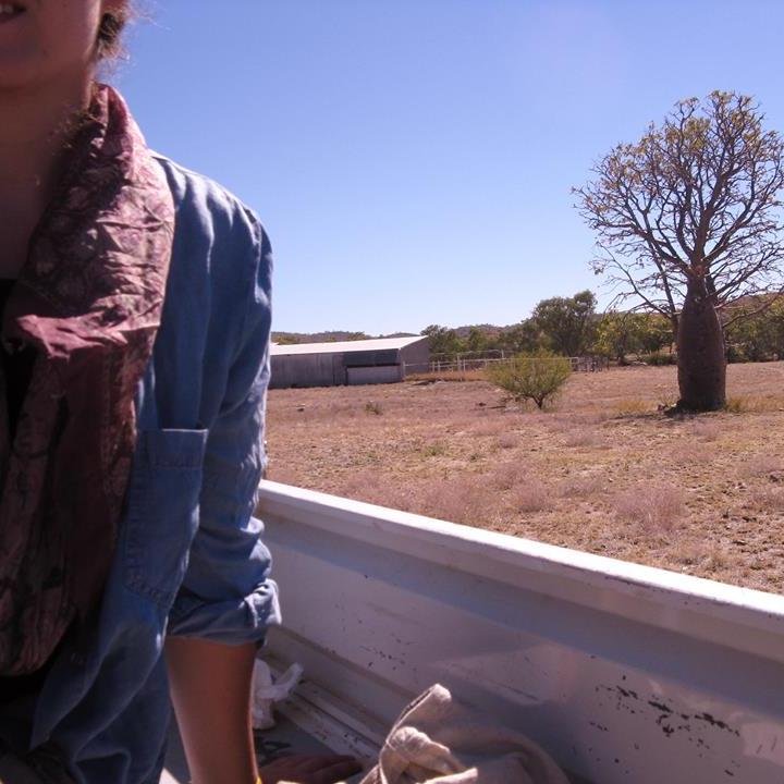 Zoe_Coombe's profile picture. feminism. anthropology. paths and networks. stories. plants, animals, mountains, rocks, stars and life🌿