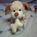 maggy.com (@1973Ginade) Twitter