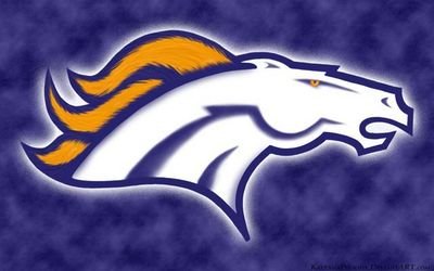 Bronco Stocks = stocks that run up quick and plow anything in the way