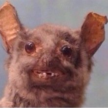 RabideauMegan's profile picture. Um... Hiiii!!!