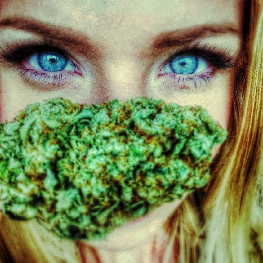 SelenaSativa's profile picture. ganja goddess, budtender, cannabis enthisiast, protector of the sacred herb!
