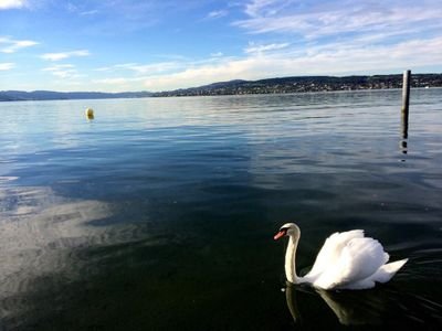 Claudia Camacho 🇵🇦