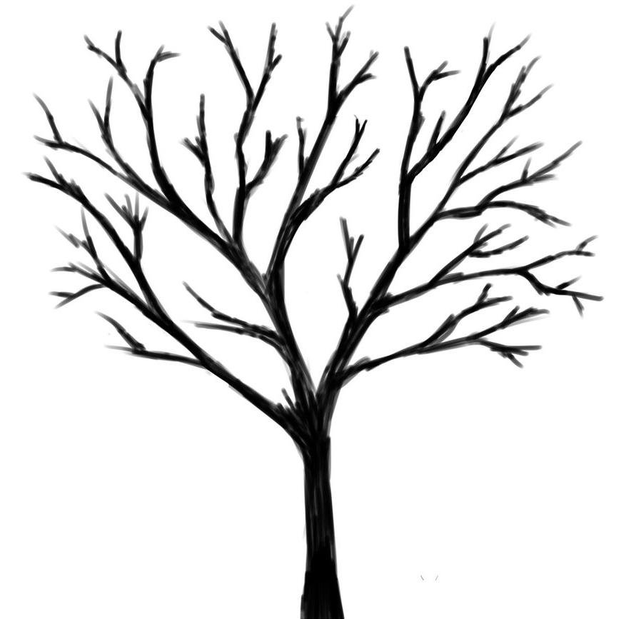 lonetreecellars's profile picture. Wines worth discovering