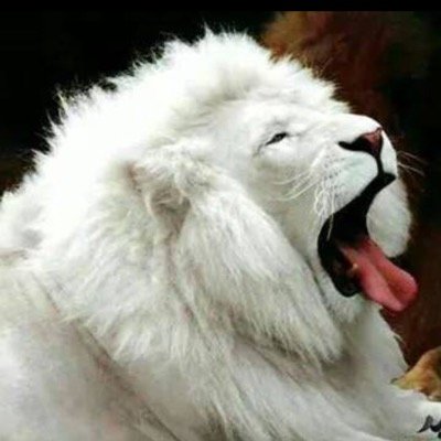 MaaidniM's profile picture. 