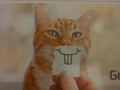 10andrewparsons's profile picture. 