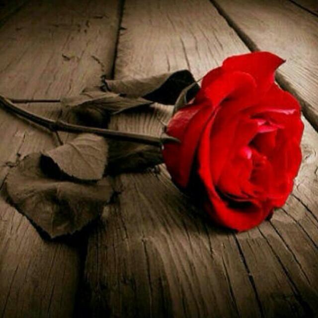 suklain_mercy's profile picture. 