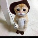 Doris Navarrete - @doris8nava - Twitter