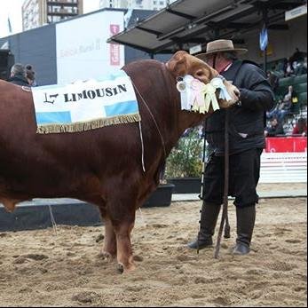 Propietaria Cabaña Don Federico . Raza Limousin
Presidente de Asociación Criadores de Limousin