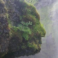 Rob Bushby (@rob_bushby) 's Twitter Profile