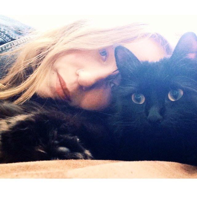 AlliDeleo's profile picture. marketing & communications @hybriditymusic