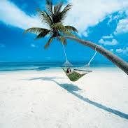 THE best hammocks on the internet. Let the stresses of life melt away as you unwind in one of our premiere hammocks. #relax #hammocklife