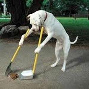 Hey there, I tweet world's funny and trendy news everyday. If you like them,please visit my website.