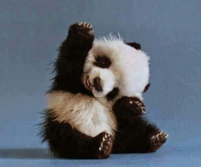 gerritjennievdf's profile picture. 