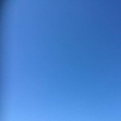 王鹿さんのプロフィール画像
