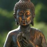 NDCL's Buddhism Community