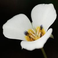 MainGalleryArt's profile picture. 