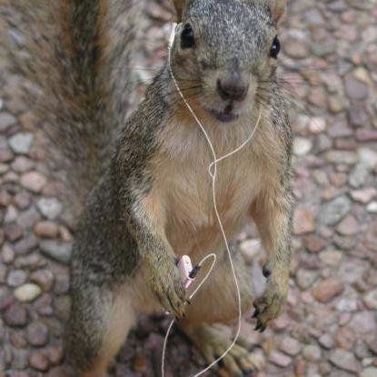 Hey there, I tweet world's funny and trendy news everyday. If you like them,please visit my website.