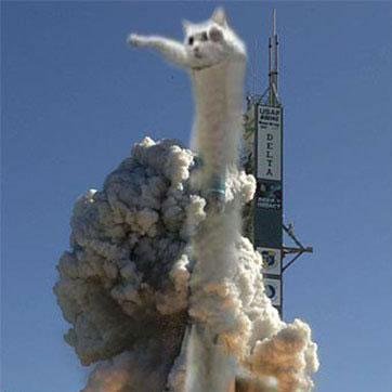 Funny news and facts non-stop tweet! If you wanna read more please visit my website. Thanks!
