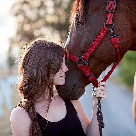 Sailor. Equestrian.
