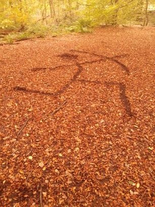 tactfulcactuss's profile picture. 