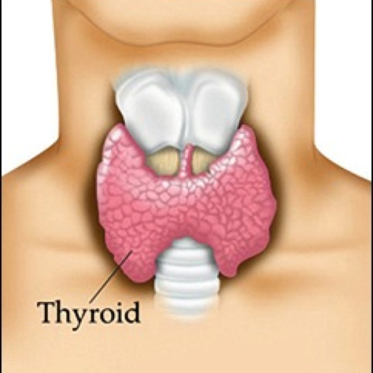 Get tips and solutions on hypothyroid!