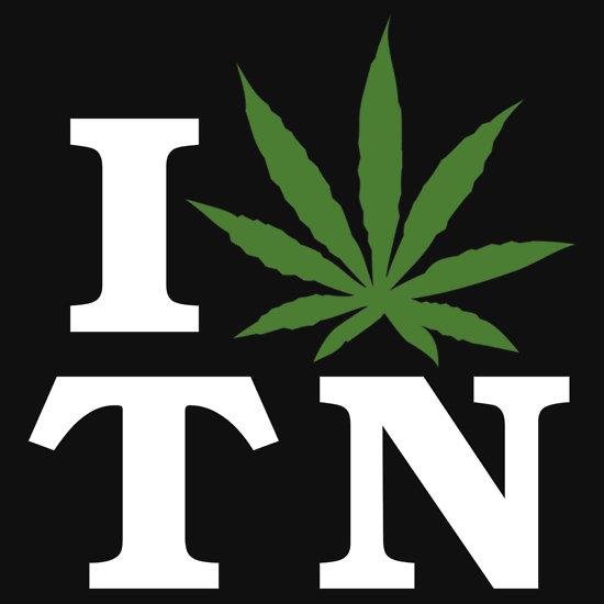 LETNASHVILLEKNO Profile Picture