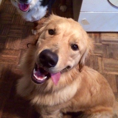 sobeXmaster's profile image