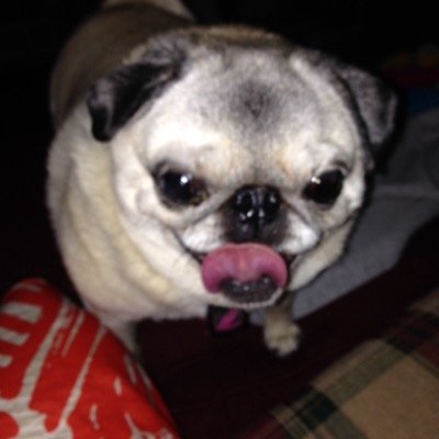 MargieGuyer's profile picture. 