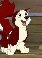 Hello I'm dingo son of balto and Jenna I'm looking for my brothers and sisters