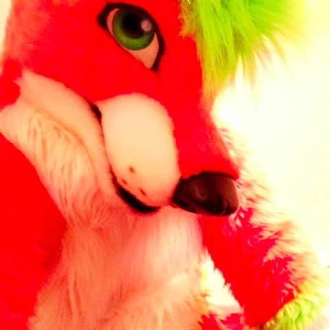 Ewww murrsuits are disgusting. I will only allow if I know you well or trust you enough to follow. #NSFW