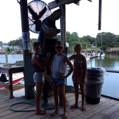 aleschhhh's profile picture. 