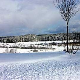 1Ocak1's profile picture. 