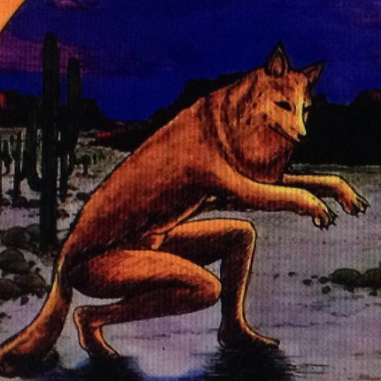 bolipustota's profile picture. Тройная жизнь Елены Шкарубо. Все совпадения случайны.