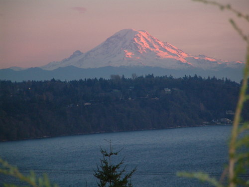 3TreePointBnB's profile picture. 