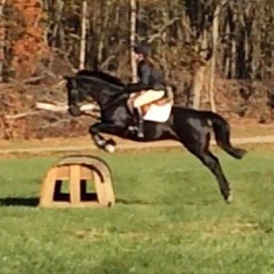 My goal is to keep the horse between me and the ground ¯\_(ツ)_/¯