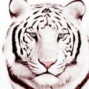 Miriam Cross - @WhiteTigre410 - Twitter