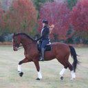 Danielle Culver - @TheDani74 - Twitter