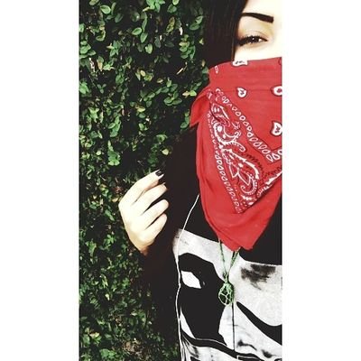 Fbunny_Silva's profile picture. Snap- feferlus